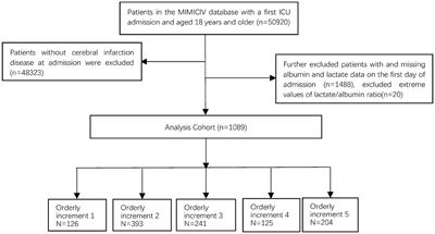 The lactate-to-albumin ratio relationship with all-cause mortality in cerebral infarction patients: analysis from the MIMIC-IV database